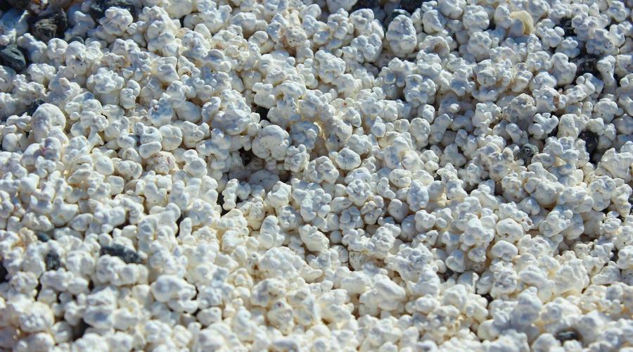 The viral Popcorn Beach Fuerteventura: Everything you need to know Buendía Corralejo The viral Popcorn Beach Fuerteventura: Everything you need to know Buendía Corralejo