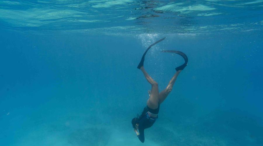 Snorkeling in Fuerteventura: Dive into the northern underwater paradise Buendía Corralejo Snorkeling in Fuerteventura: Dive into the northern underwater paradise Buendía Corralejo